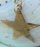 Gold Star and Chain earrings